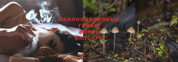 стаф Алзамай