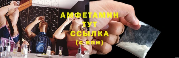 стаф Алзамай