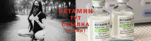 стаф Алзамай
