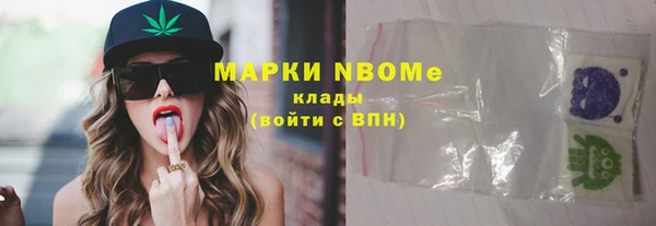 стаф Алзамай