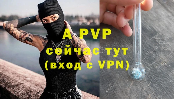 молекула духа Алексеевка