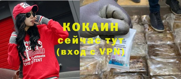 стаф Алзамай