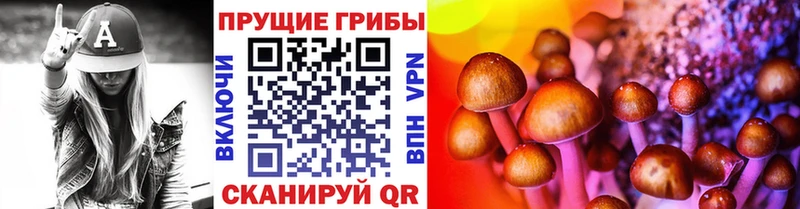 Галлюциногенные грибы Psilocybine cubensis Ивдель